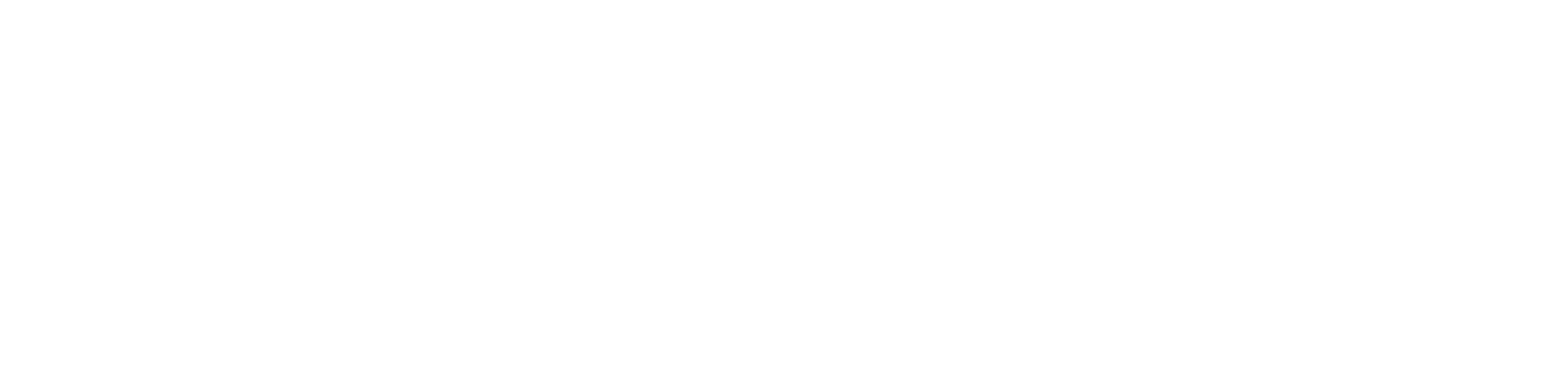 Original_Horizontal_Logo_White